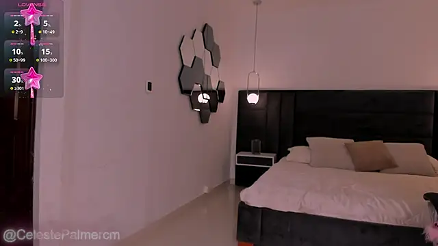 CelestePalmer_ webcam