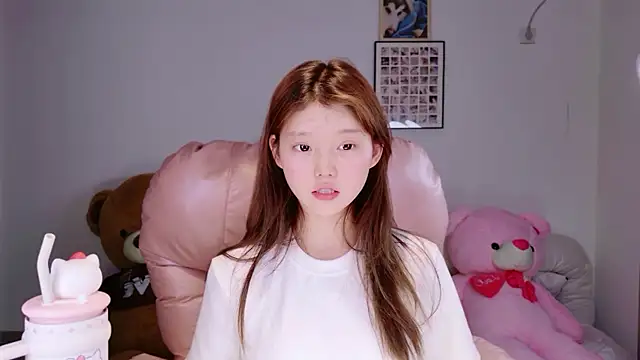 yang-yang-yang webcam