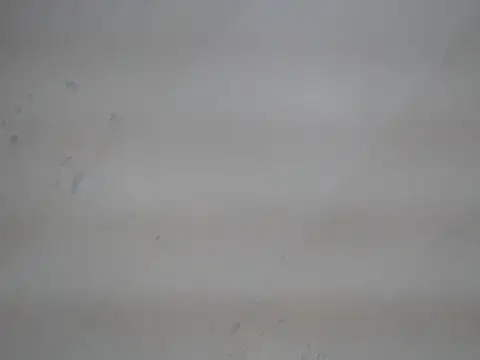 shantalfucker_ webcam