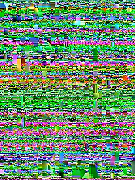 Smith_Fitness webcam