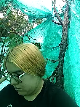 single_kitten webcam