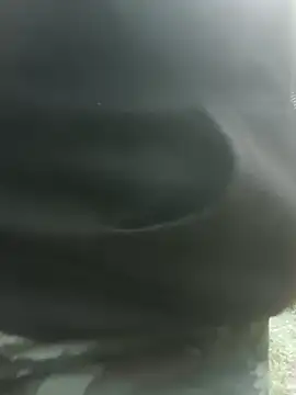 BiketravelChat webcam