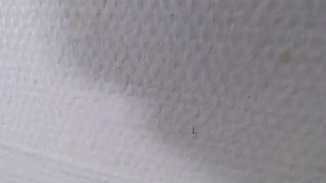 knodli (Ask my age) - #big-cocks #bisexuals #colorful #dirty-talk #ejaculation #flashing #hd #medium #recordable-publics #sexting #small-audience #white