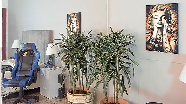 Preview of kai_storn