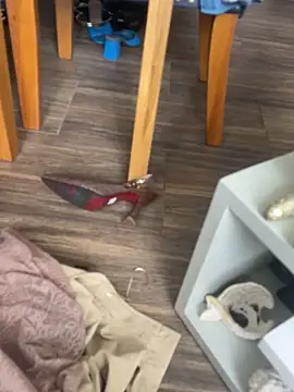 valle_salvaje (Ask my age) - Aninalista