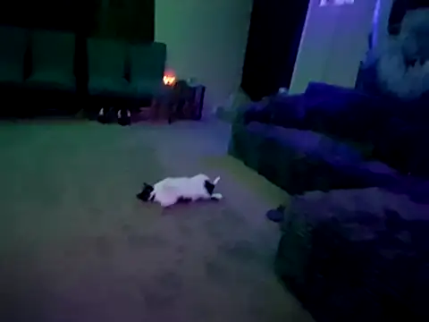 chronic_vibez webcam