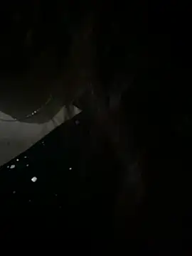 Linksys_nicee webcam