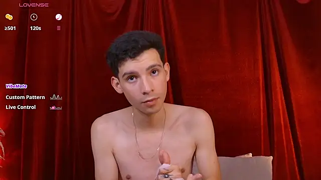 VicenteFerrer webcam