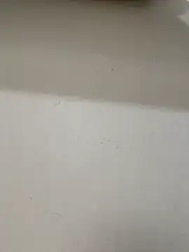 SALOME_KORLAND webcam