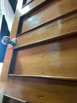 SALOME_KORLAND webcam