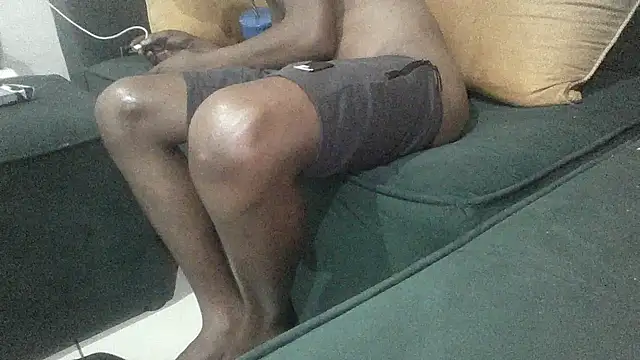 Winterslender webcam