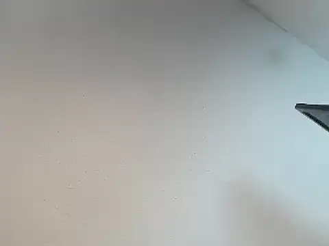 Ailanys_Miller webcam