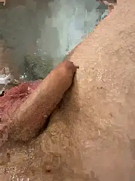 LesVingtPlaisirs webcam