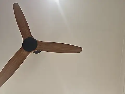 Handsolo_porn webcam