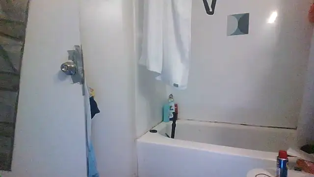 Antoniothedon webcam