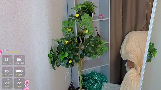 MaraBrookfieId webcam