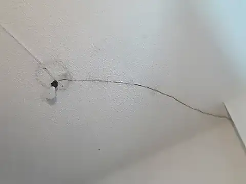 Ailanys_Miller webcam