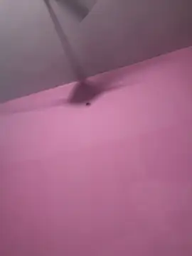 Your_daddy_544 webcam