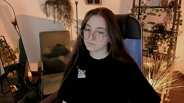 VirtuallVoyant webcam