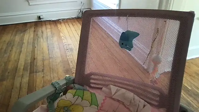 Monarchmistress webcam