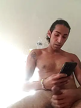 LargeDominoes webcam