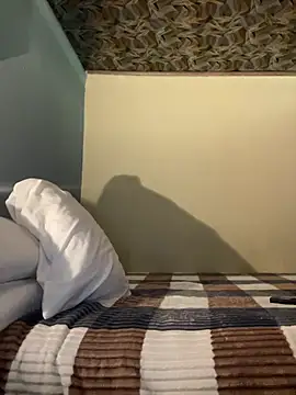 Theprojectsaraa webcam