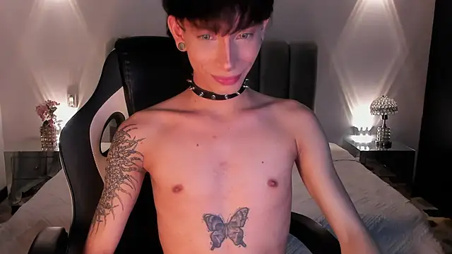 AndyWiilliams webcam