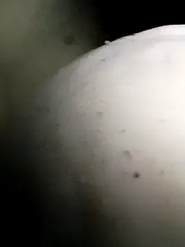 Bigcockmexi13 webcam