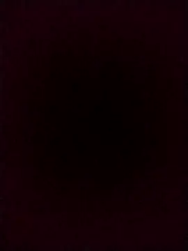 RAFAELQUINTEROSCAVALHEI webcam