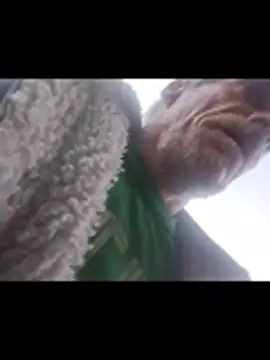 Biknight live sex cam