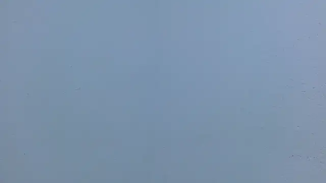 isabel_24_gil webcam