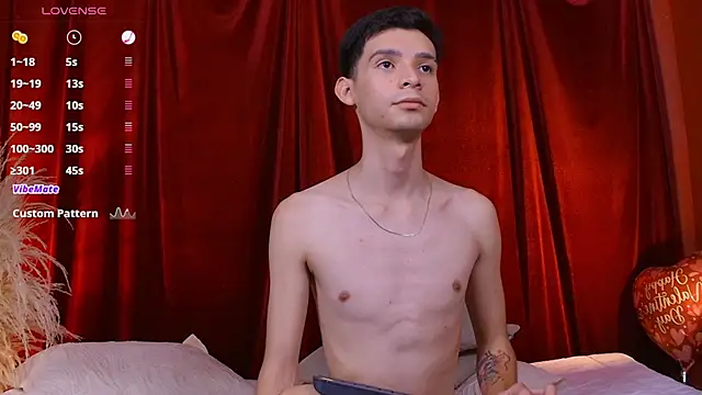 VicenteFerrer webcam