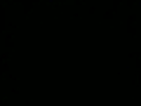 NinfomanoLOGAN webcam