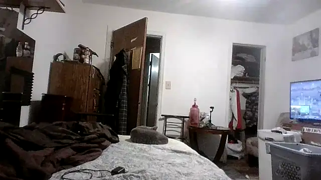 Preview of academichuman67