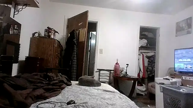 AcademicHuman67 webcam