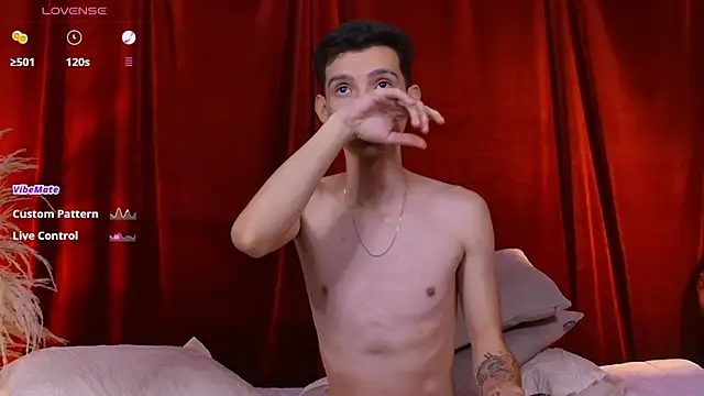 VicenteFerrer webcam