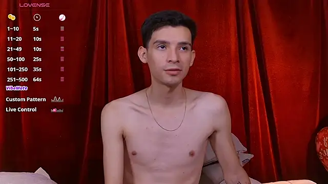 VicenteFerrer webcam