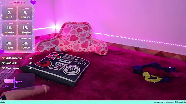 Karla_Stein2026 webcam