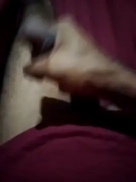 Victorpau22cm webcam