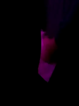 egyptianhorse (M young) - Support this fuckn 🐎 Horse