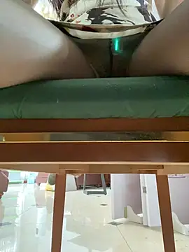 美女petoys在线直播