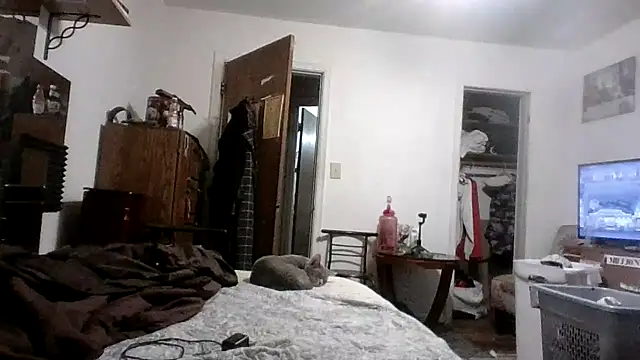 AcademicHuman67 webcam