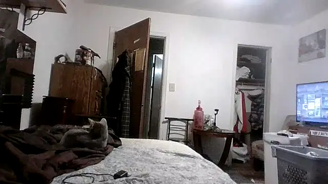 AcademicHuman67 webcam