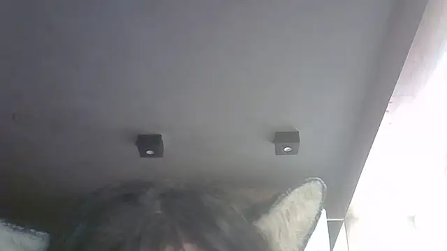 SkinnyKitten webcam