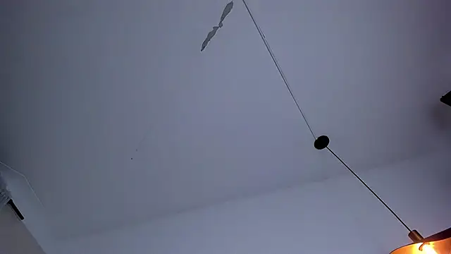 bloom_apple live sex cam