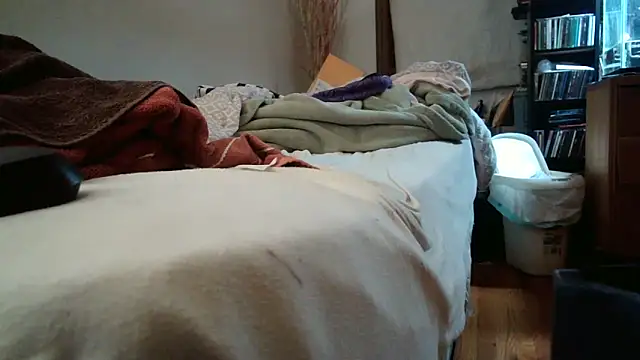 jumpingtomflash webcam