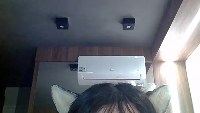 Preview of skinnykitten