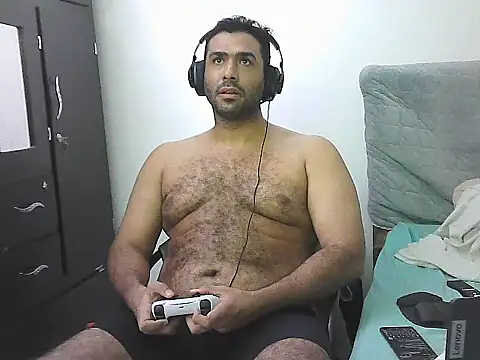 IronSideBear webcam