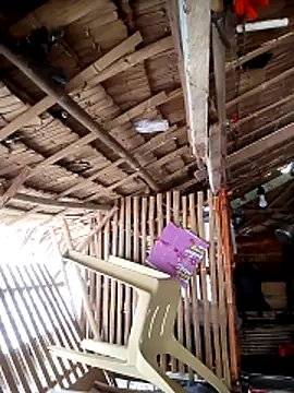 Angelfallingforyou447788 webcam