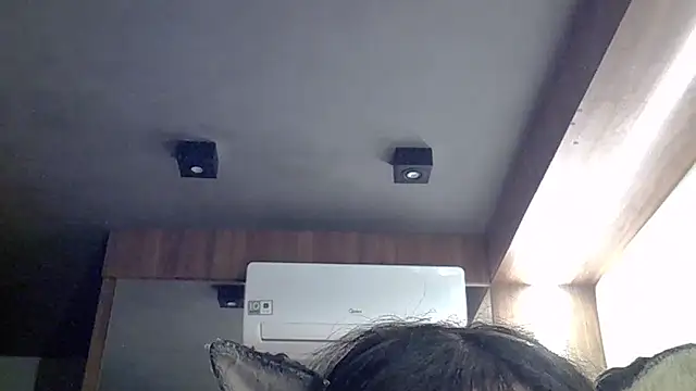 Preview of skinnykitten